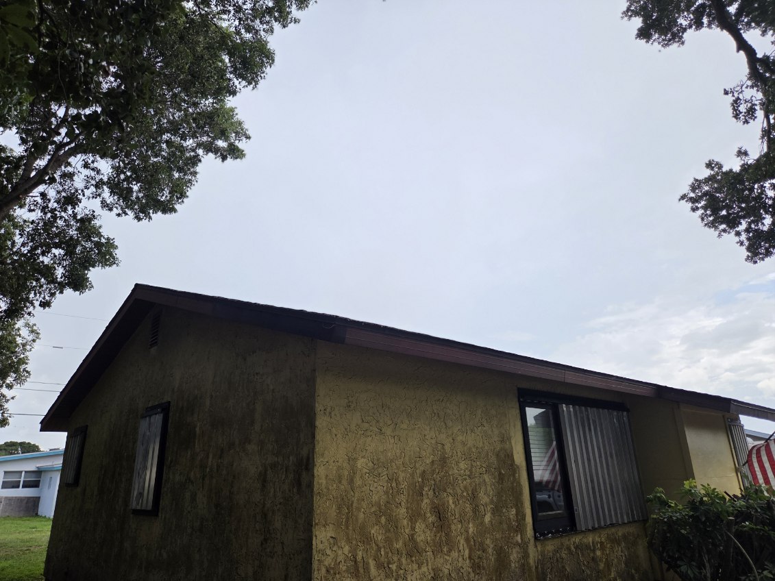Canopy trimmed back with clear sky above the roofline